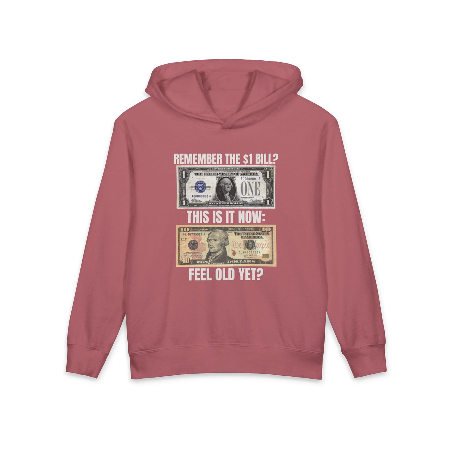 Remember the $1 Bill? This is It Now Feel Old Yet? Funny Meme Graphic Kids Hooded Sweatshirt Comfort Colors 1467Y Hoodie