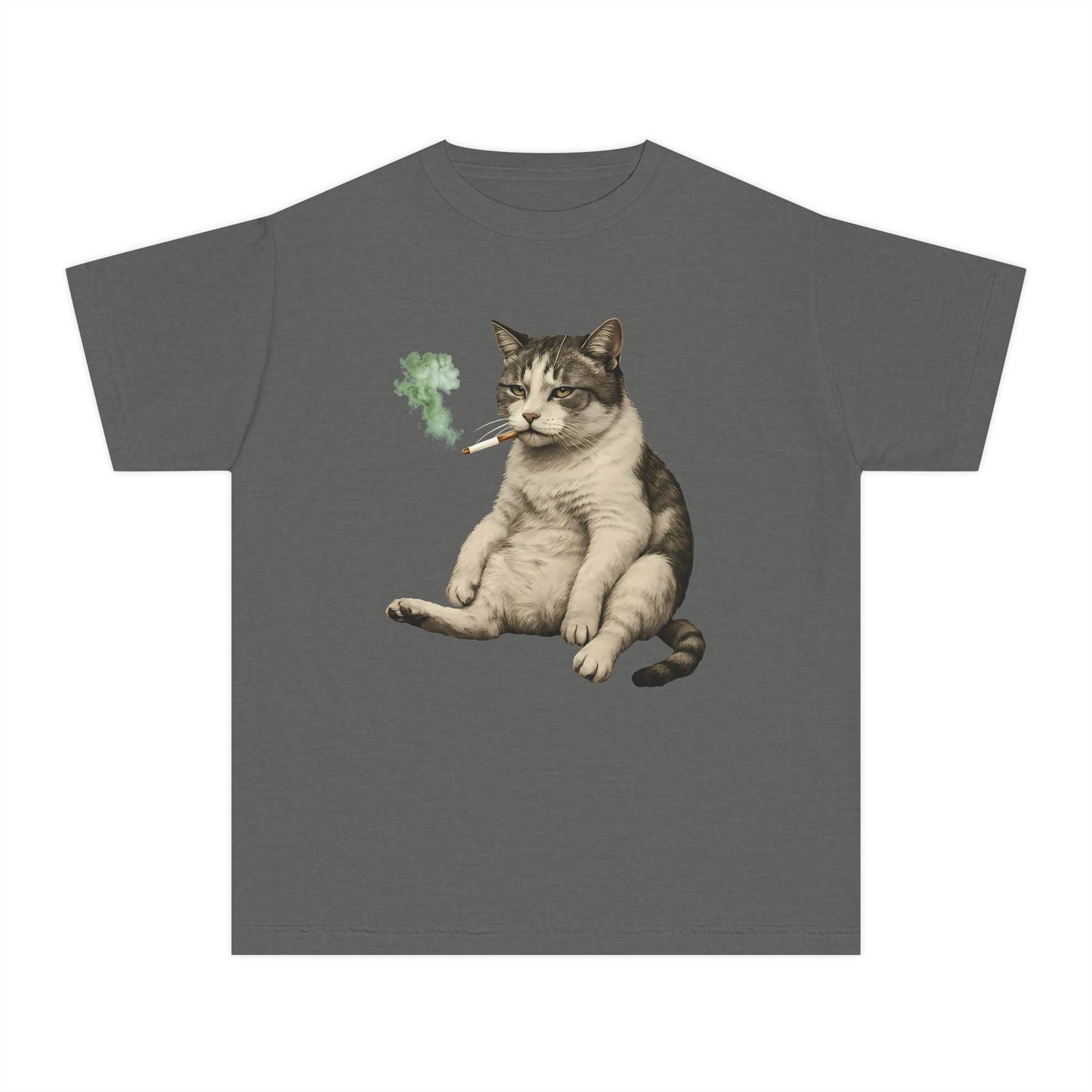 Chunky Cat Smoking Cigarette Gen Z Meme Graphic Kids T-Shirt Comfort Colors 9018