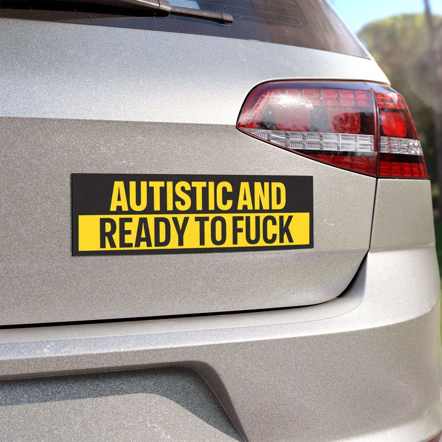 Autistic and Ready to Fuck Bumper Sticker Magnet Funny Magnetic Bumper Stickers (Contains Plastic) 3x10"