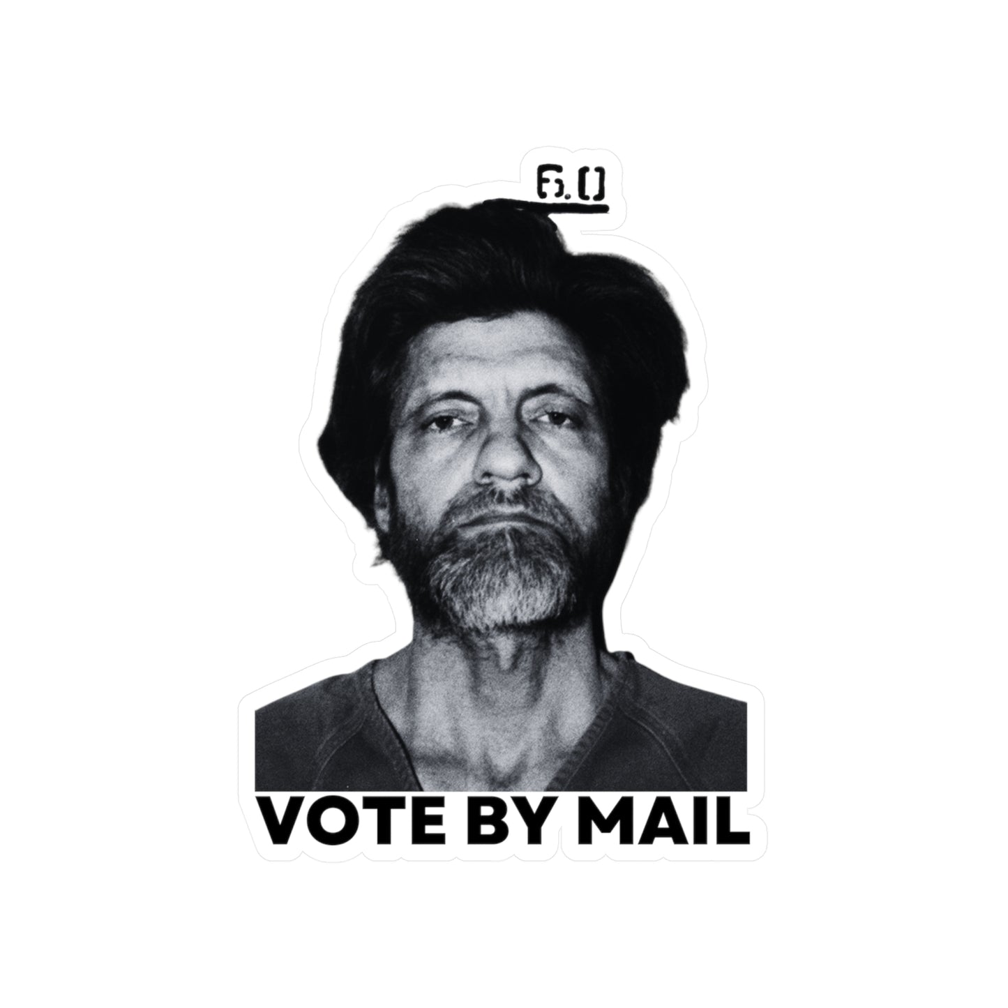 Ted Kaczynski Sticker Vote By Mail Meme Libertarian Stickers (Vinyl)