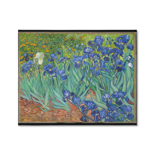 Vincent Van Gogh Irises Canvas Wall Art Famous Painting Artwork Decor