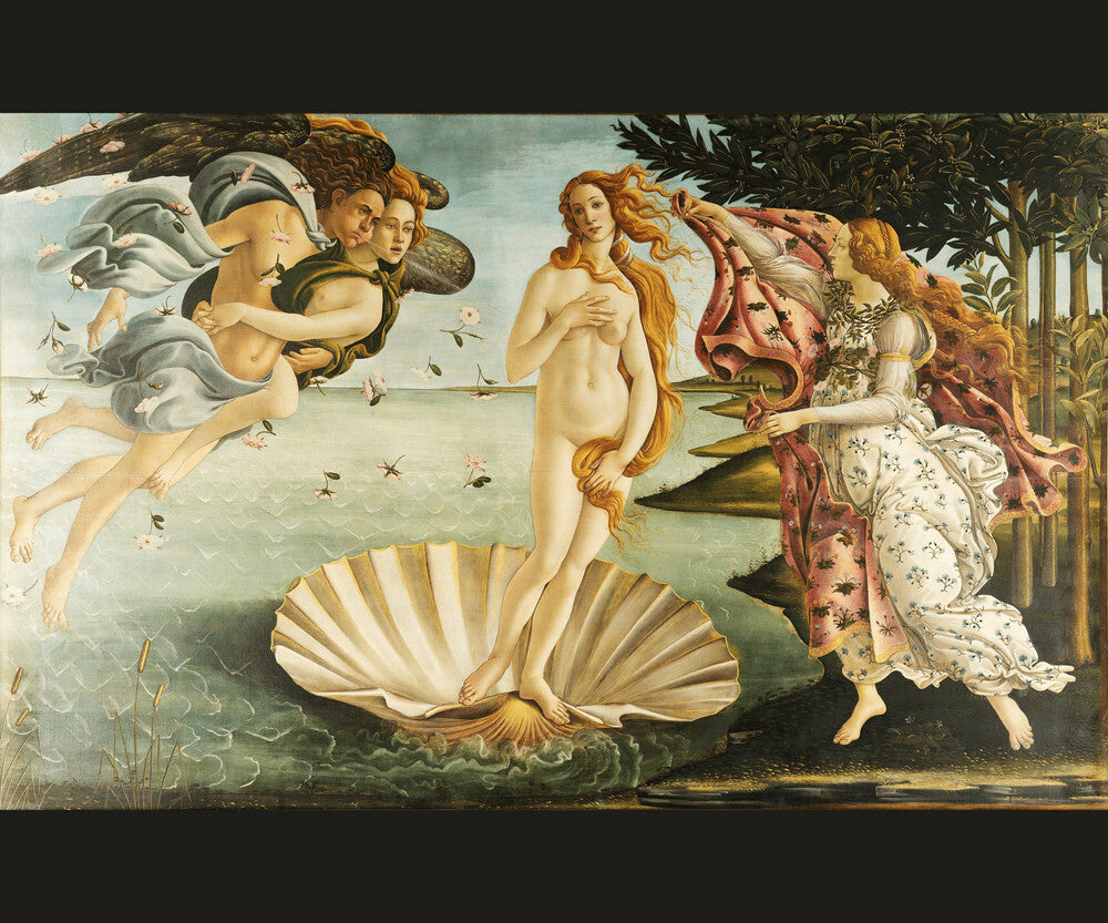 Botticelli The Birth of Venus 100 Percent Cotton Throw Blanket Woven Made in USA 50x60” Famous Painting Artwork Blanket