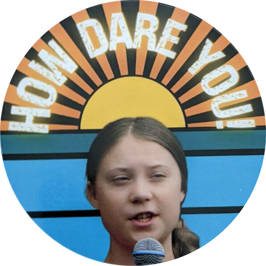3" Sticker How Dare You Greta Thunberg Meme Climate Change